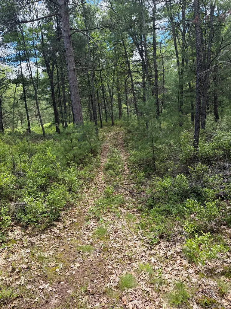 00 N Us 23 Au Sable Charter Township MI 48750