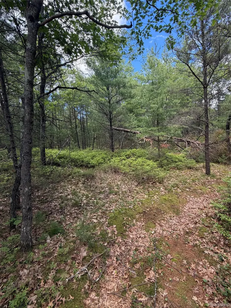 00 N Us 23 Au Sable Charter Township MI 48750