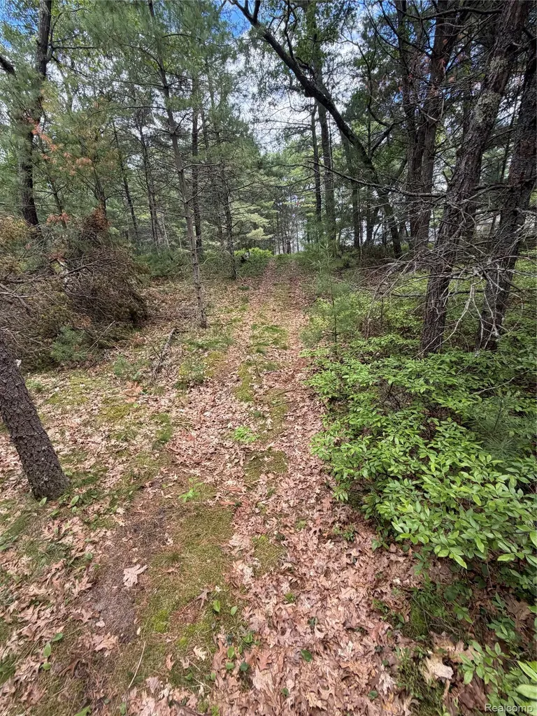 00 N Us 23 Au Sable Charter Township MI 48750