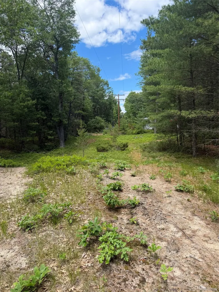 00 N Us 23 Au Sable Charter Township MI 48750