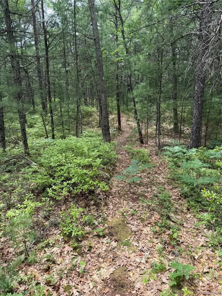 00 N Us 23 Au Sable Charter Township MI 48750