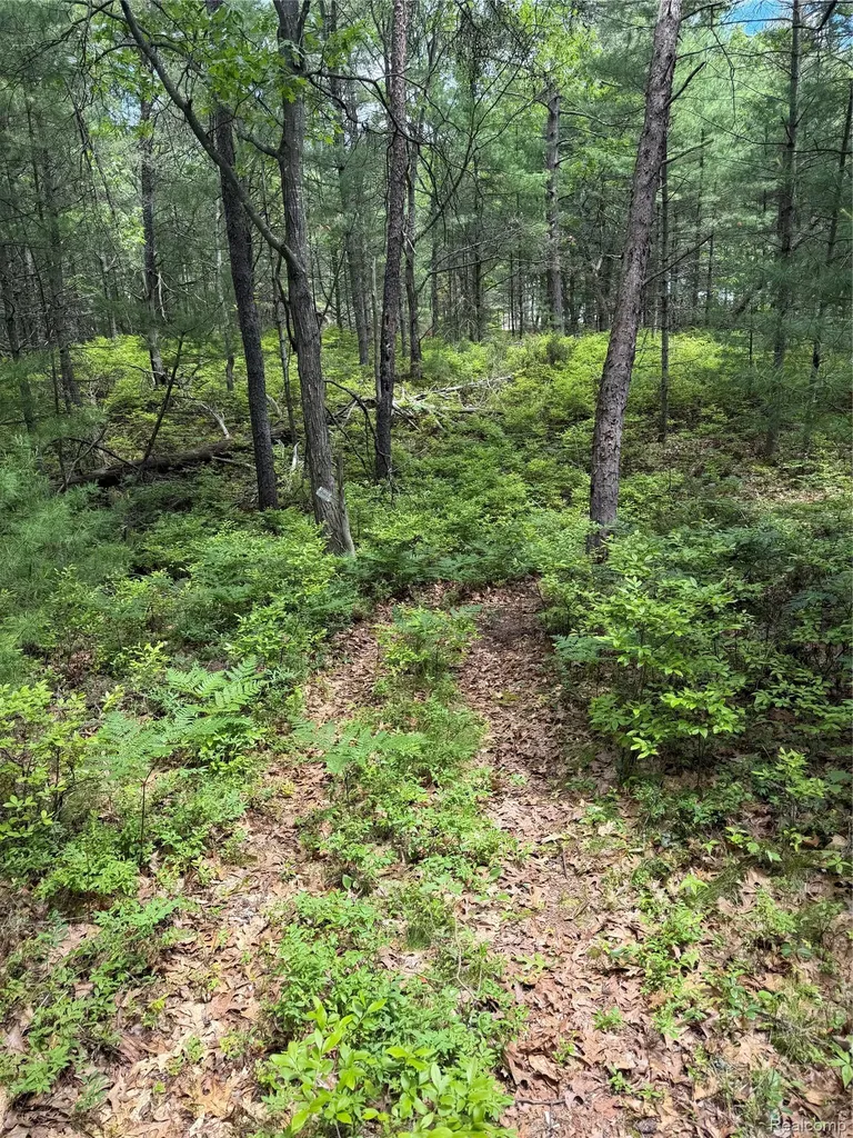 00 N Us 23 Au Sable Charter Township MI 48750