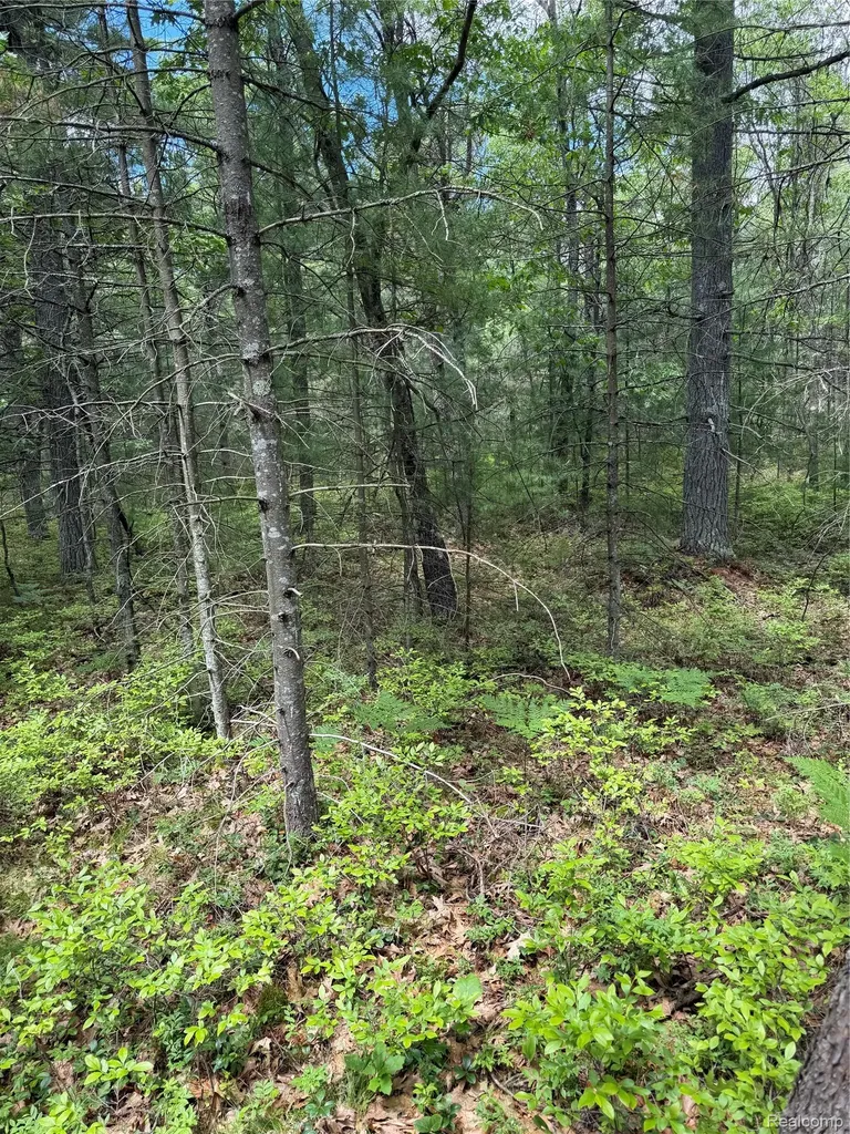 00 N Us 23 Au Sable Charter Township MI 48750