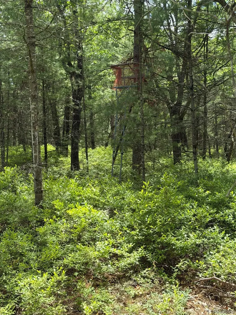 00 N Us 23 Au Sable Charter Township MI 48750