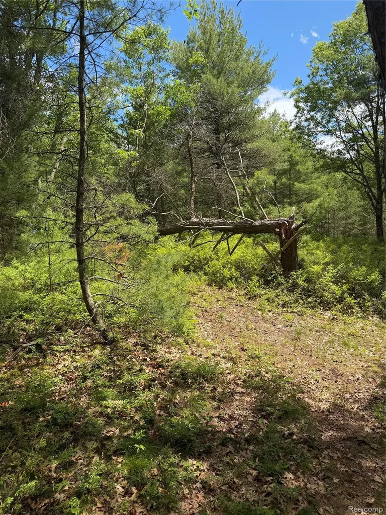 00 N Us 23 Au Sable Charter Township MI 48750