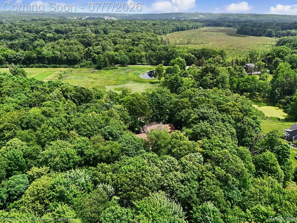 11349 Philway Court Brighton Township MI 48114