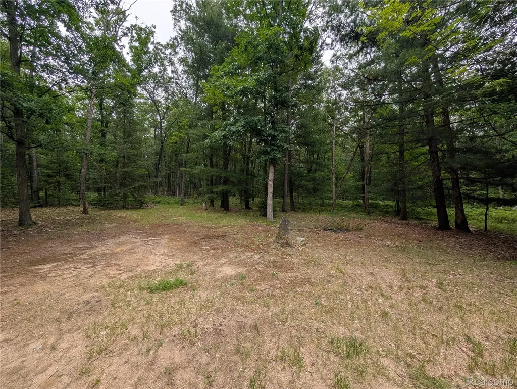 3817 S Townline Road Denton Township MI 48651