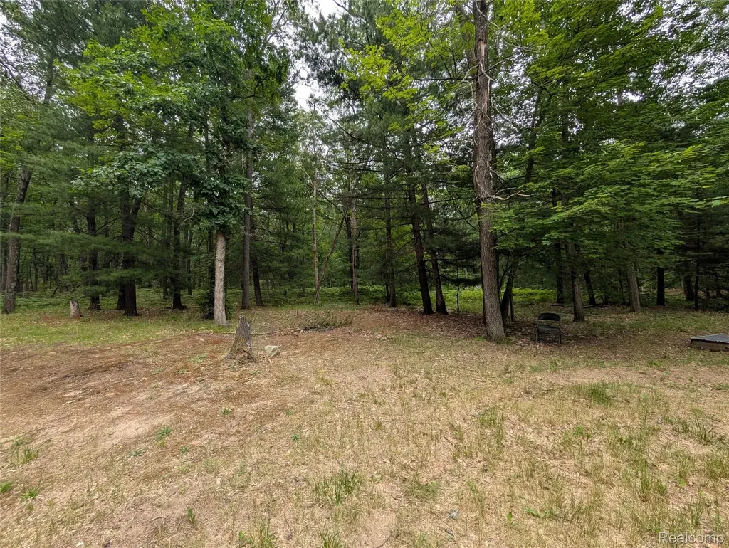 3817 S Townline Road Denton Township MI 48651