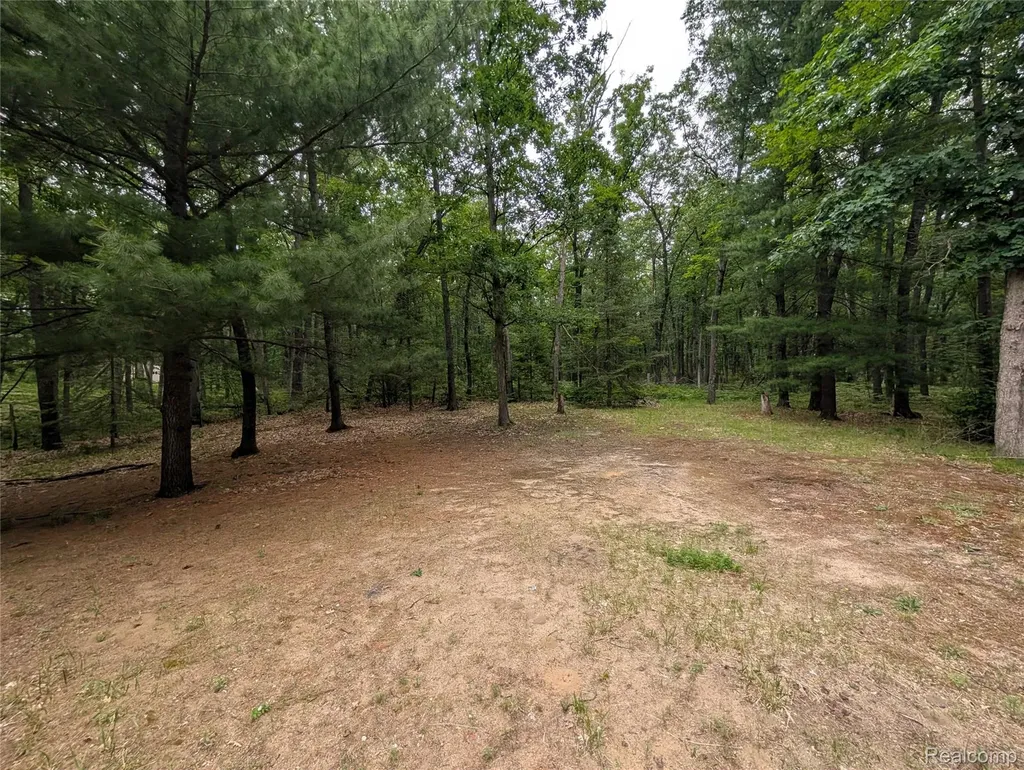 3817 S Townline Road Denton Township MI 48651