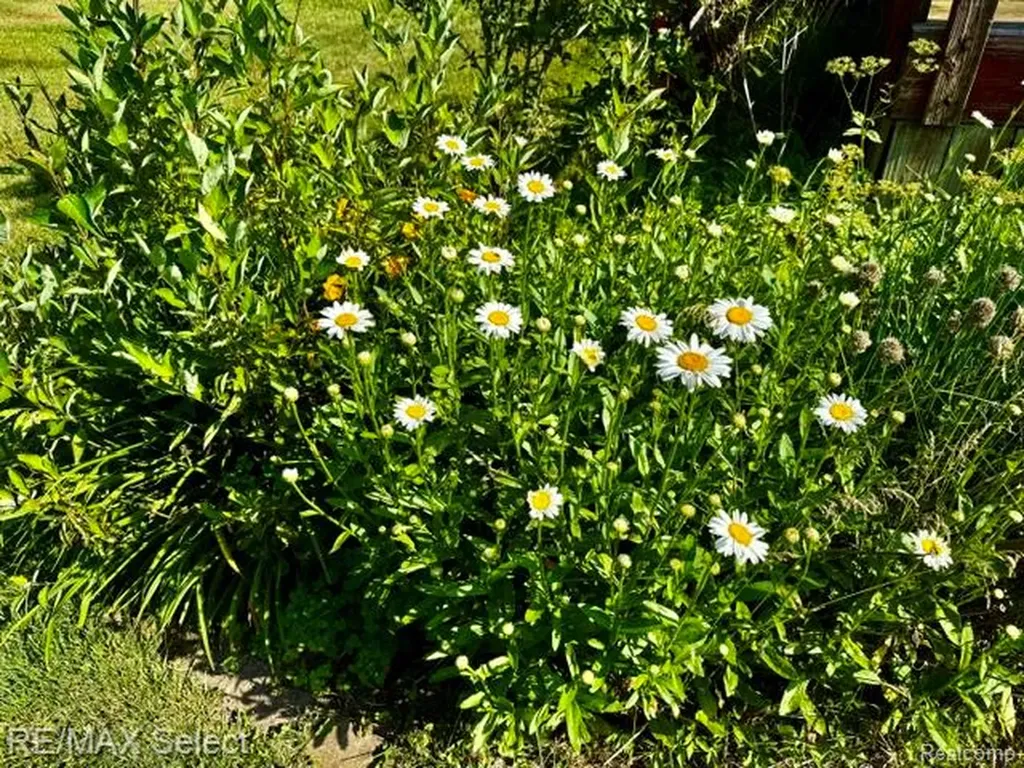 7066 Sharp Road Mundy Township MI 48473