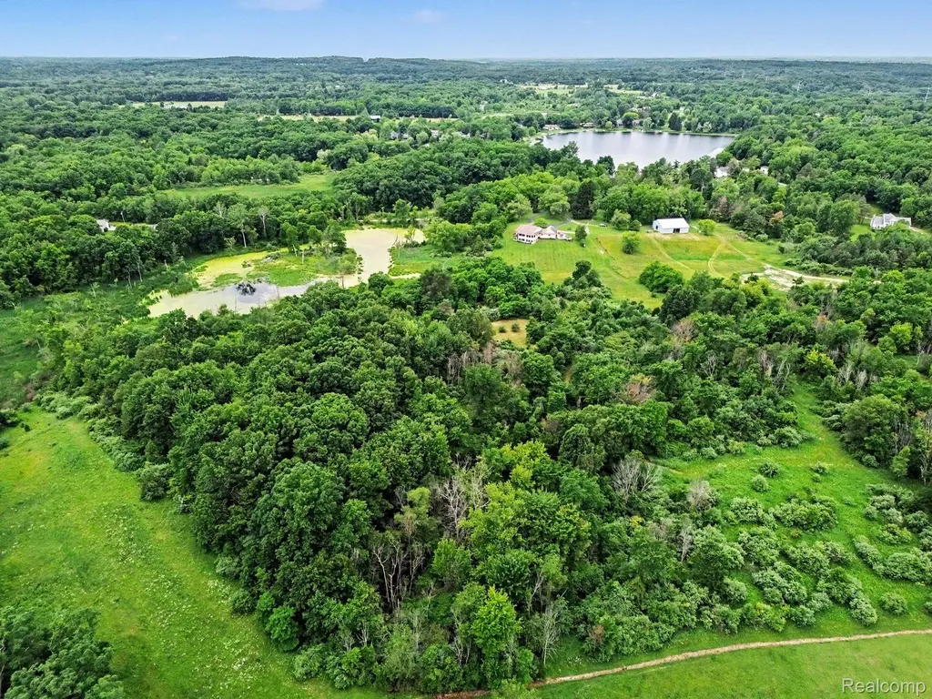 18501 Taylor Lake Road Rose Township MI 48442