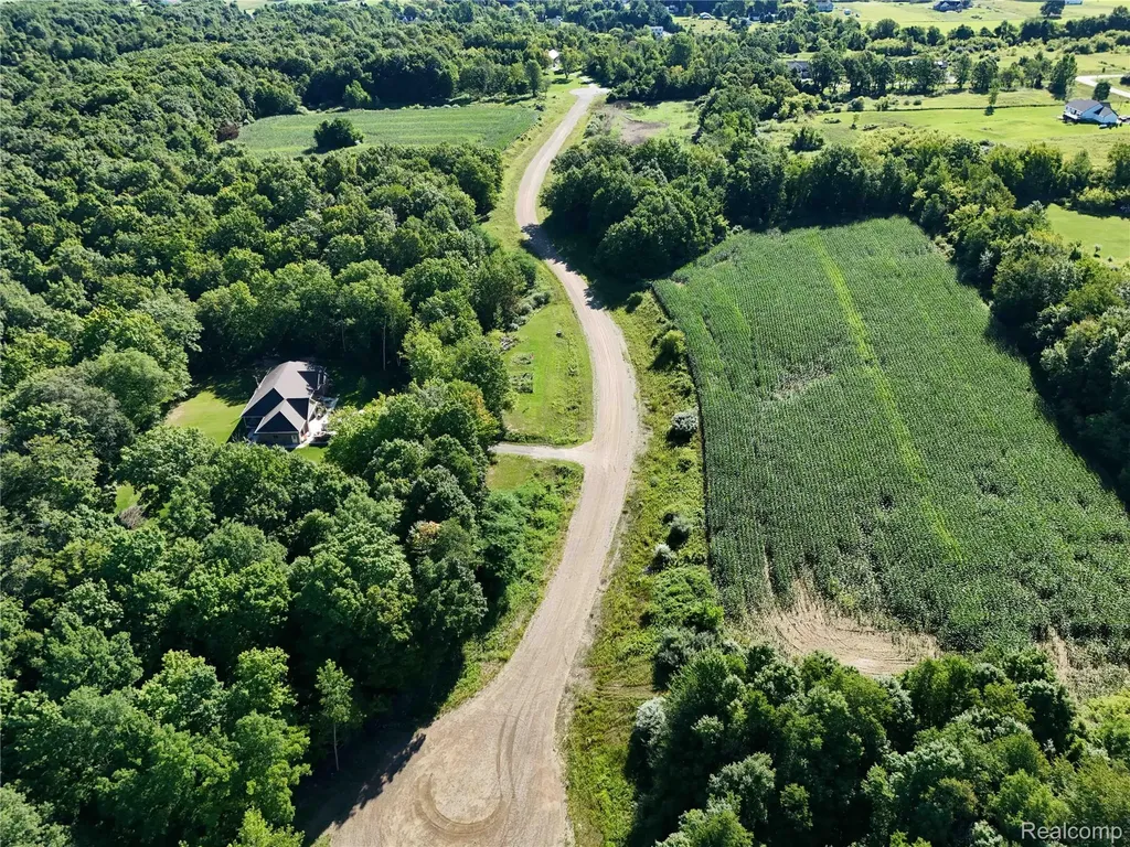 Parcel 1 Sycamore Street Dryden Township MI 48428