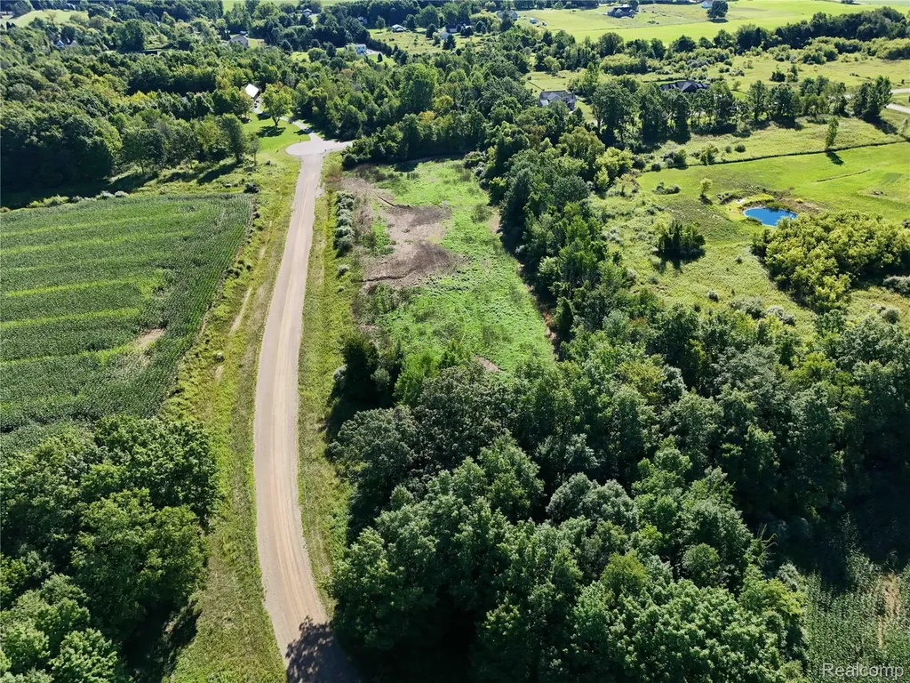 Parcel 1 Sycamore Street Dryden Township MI 48428