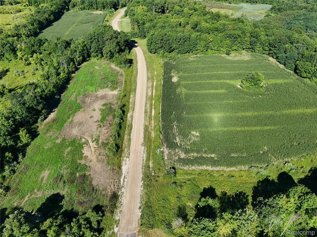 Parcel 1 Sycamore Street Dryden Township MI 48428