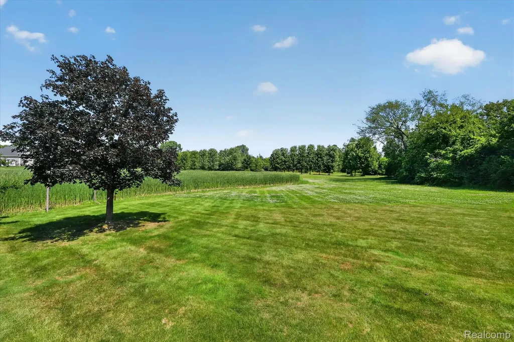 2212 Lily Court Davison Township MI 48423