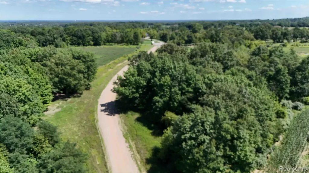 Parcel 6 Sycamore Street Dryden Township MI 48428