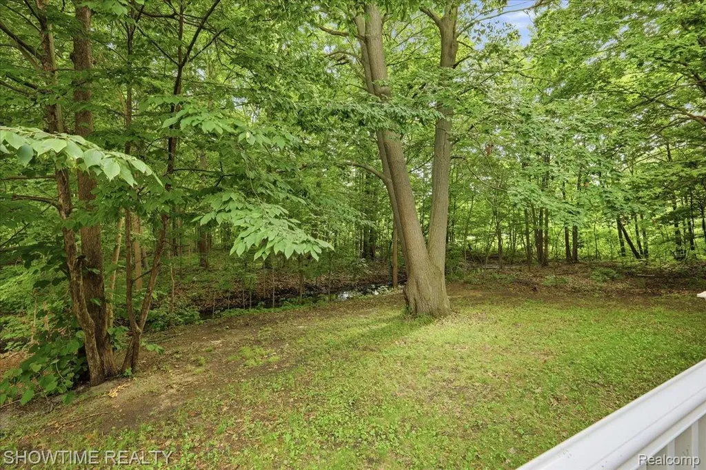 11656 Majestic Court Shelby Charter Township MI 48315