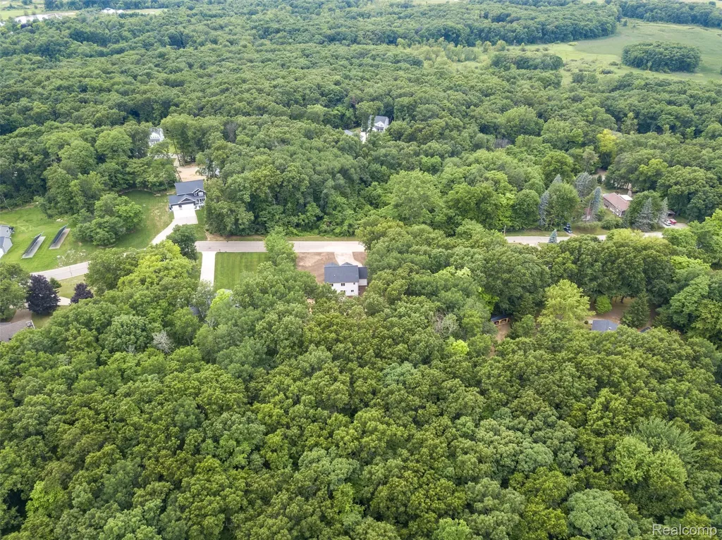 16085 Catalpa Ridge Drive Holly Township MI 48442