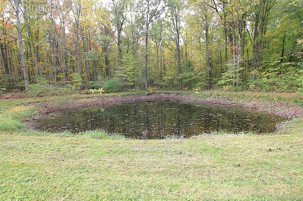12403 Willard Road Montrose Charter Township MI 48417