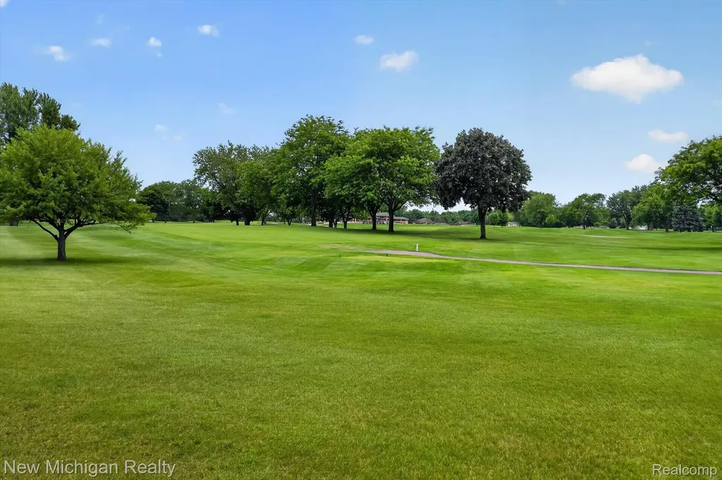 1325 Birdie Court Linden City MI 48451