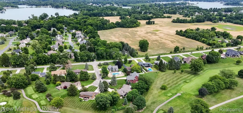 1325 Birdie Court Linden City MI 48451
