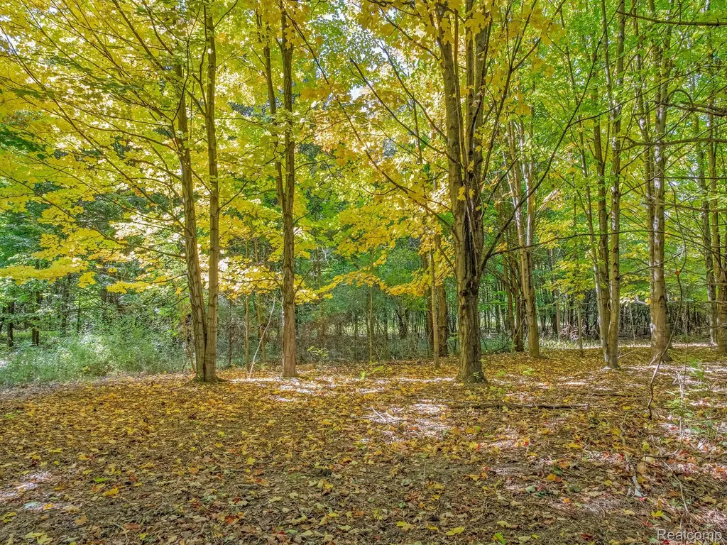 4695 Waterwood Way Howell Township MI 48855