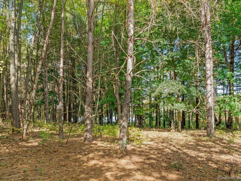 4695 Waterwood Way Howell Township MI 48855