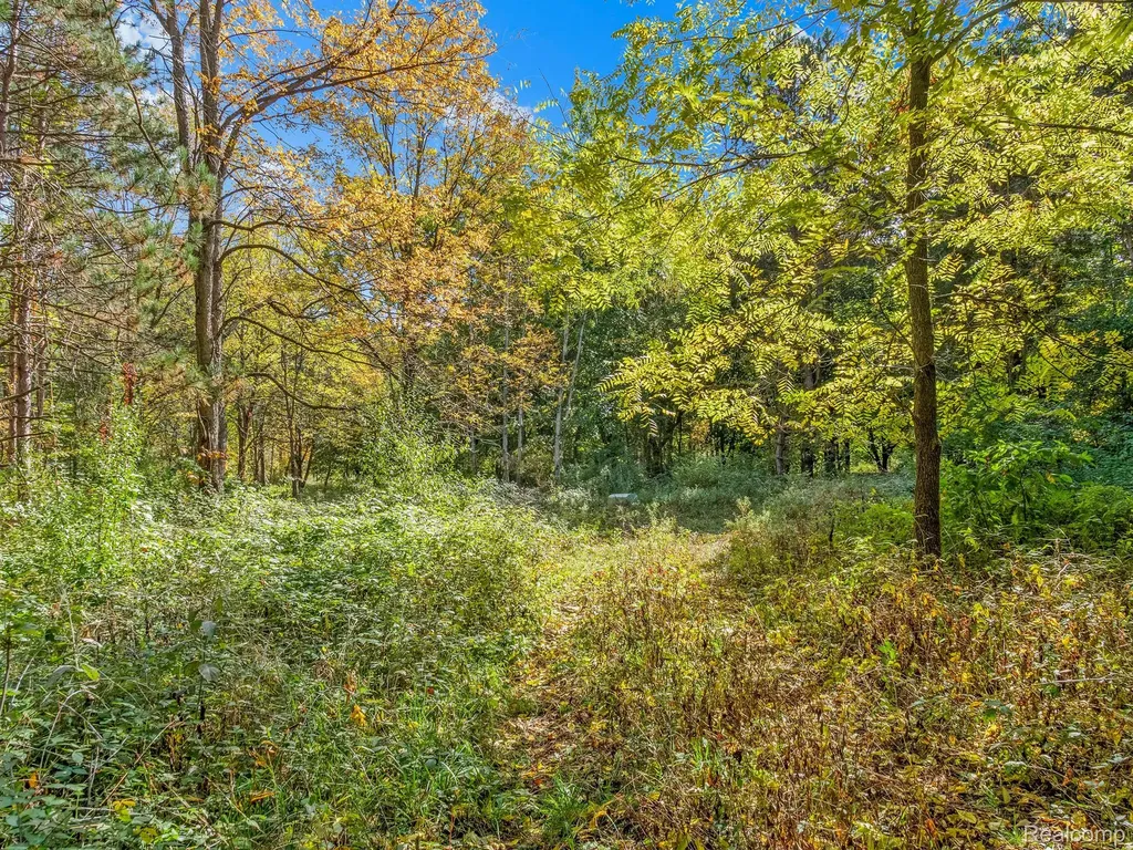 4695 Waterwood Way Howell Township MI 48855