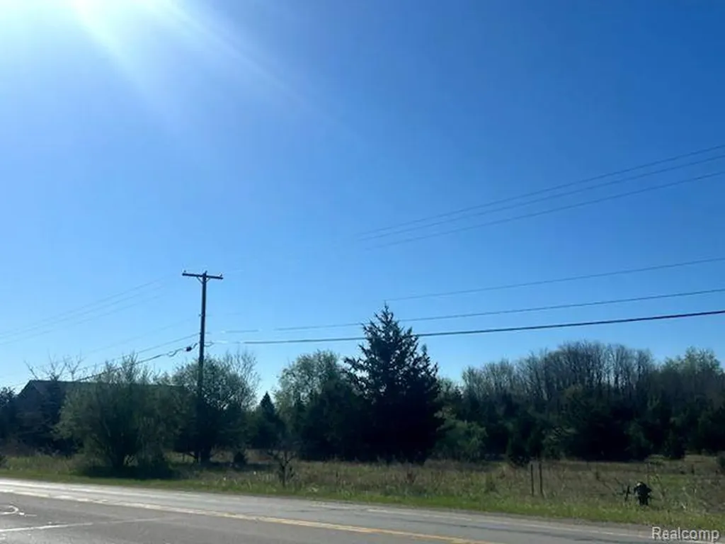 Lot A M-36 Road Hamburg Township MI 48169