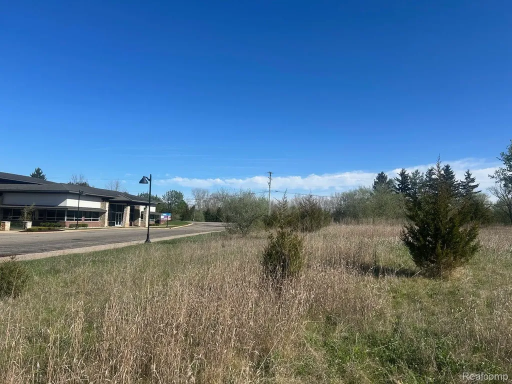 Lot A M-36 Road Hamburg Township MI 48169
