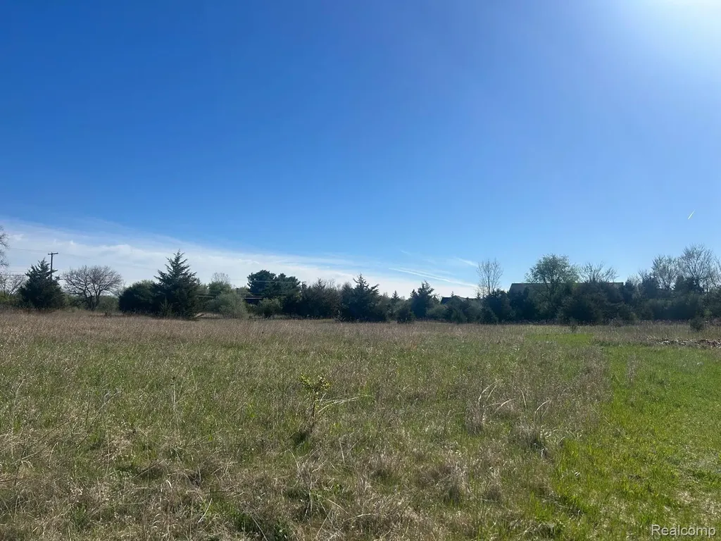 Lot A M-36 Road Hamburg Township MI 48169