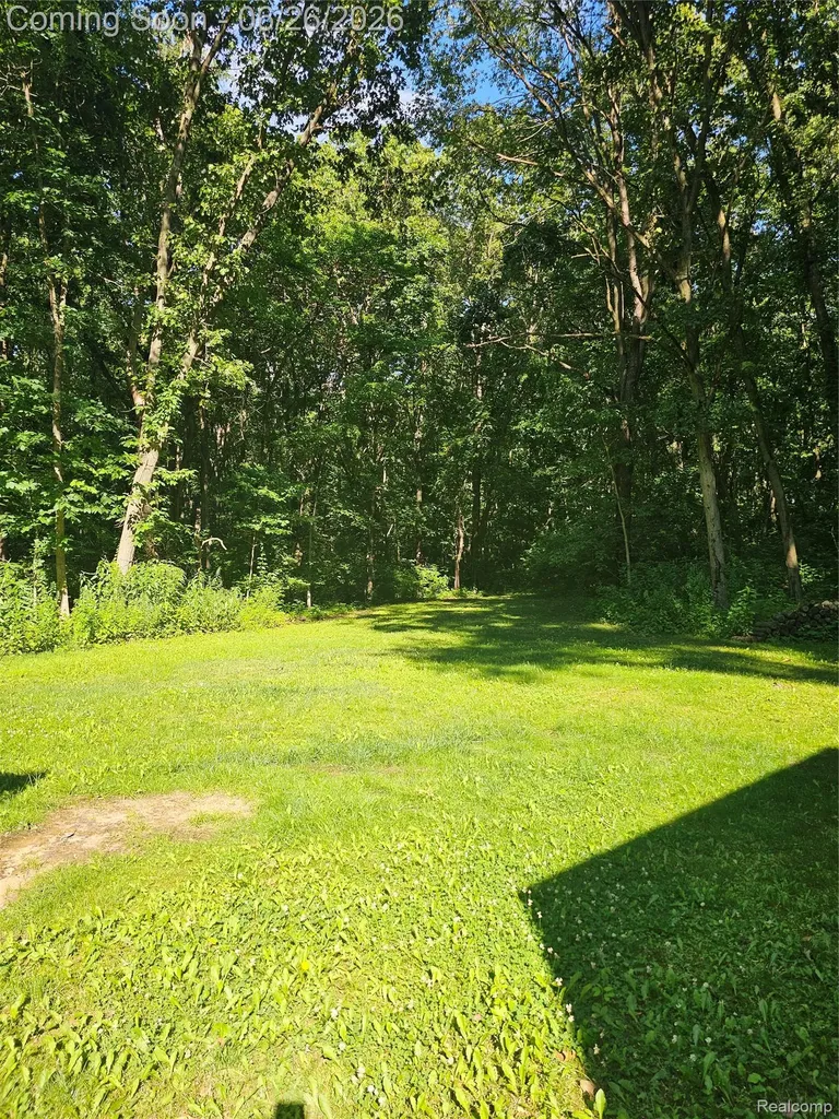 11211 Boyce Road Lyndon Township MI 48118