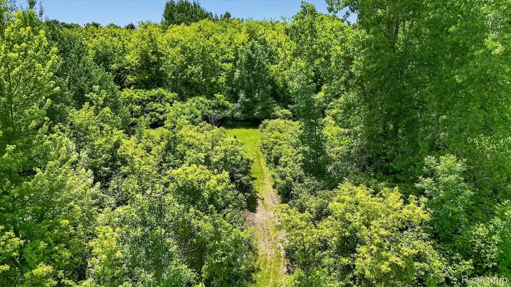 4461 Ray Road Fenton Charter Township MI 48439