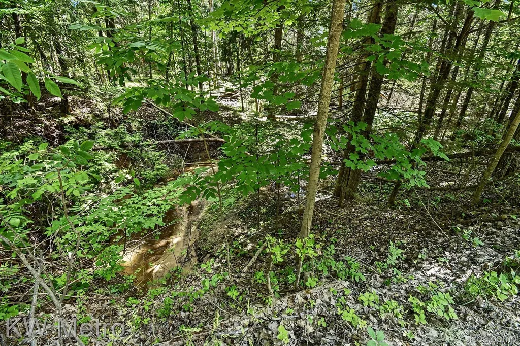 N/a Franklin Trail Deep River Township MI 48749