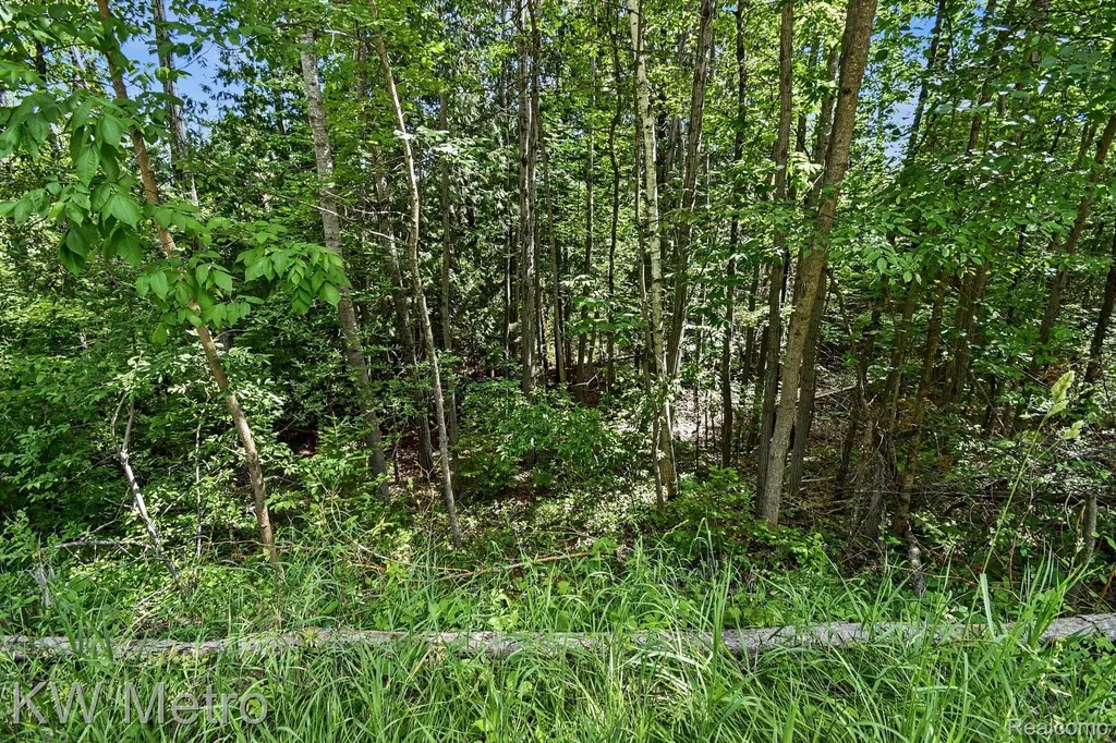N/a Franklin Trail Deep River Township MI 48749