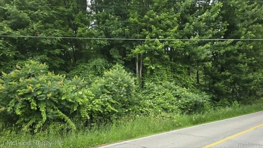 Vl N Lewis Road Thetford Township MI 48420