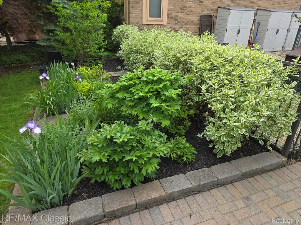 1101 Tienken Court Rochester Hills City MI 48306