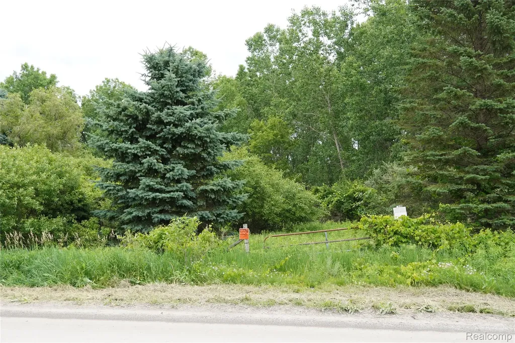 11349 Hogan Road Fenton Charter Township MI 48436