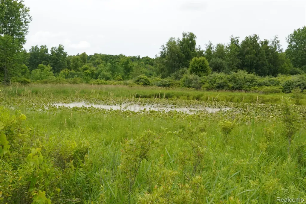 11349 Hogan Road Fenton Charter Township MI 48436