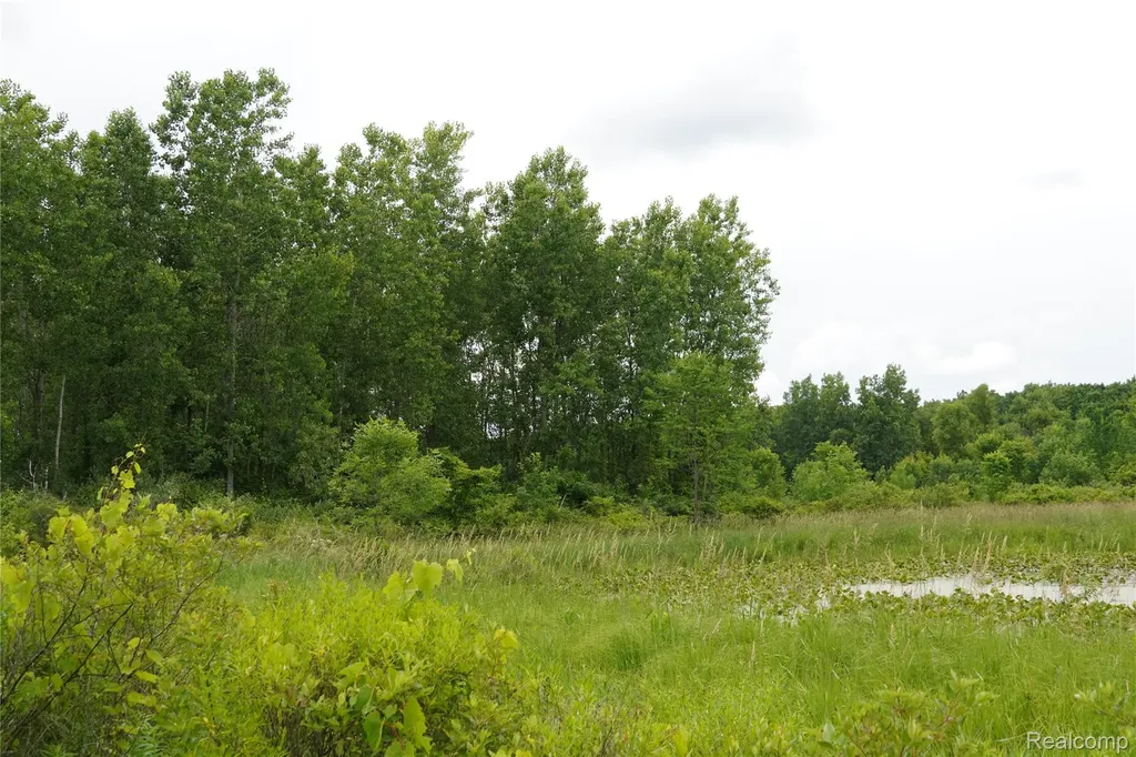 11349 Hogan Road Fenton Charter Township MI 48436