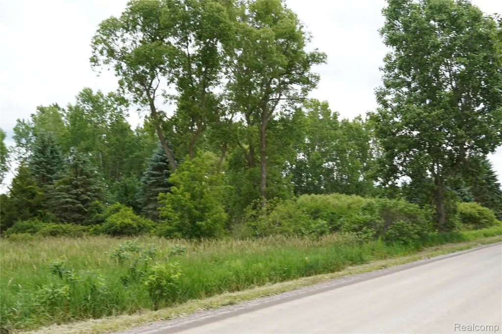 11349 Hogan Road Fenton Charter Township MI 48436
