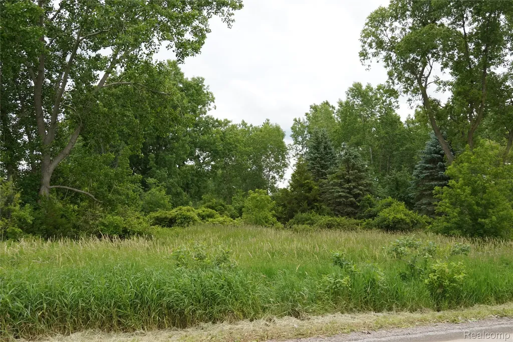 11349 Hogan Road Fenton Charter Township MI 48436