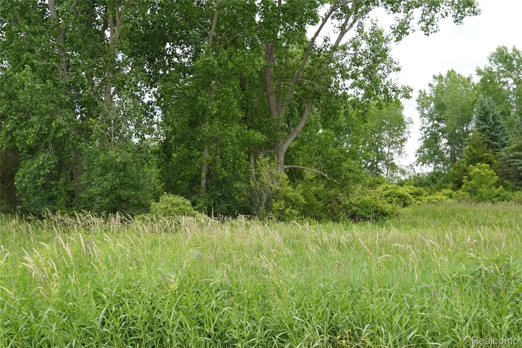 11349 Hogan Road Fenton Charter Township MI 48436