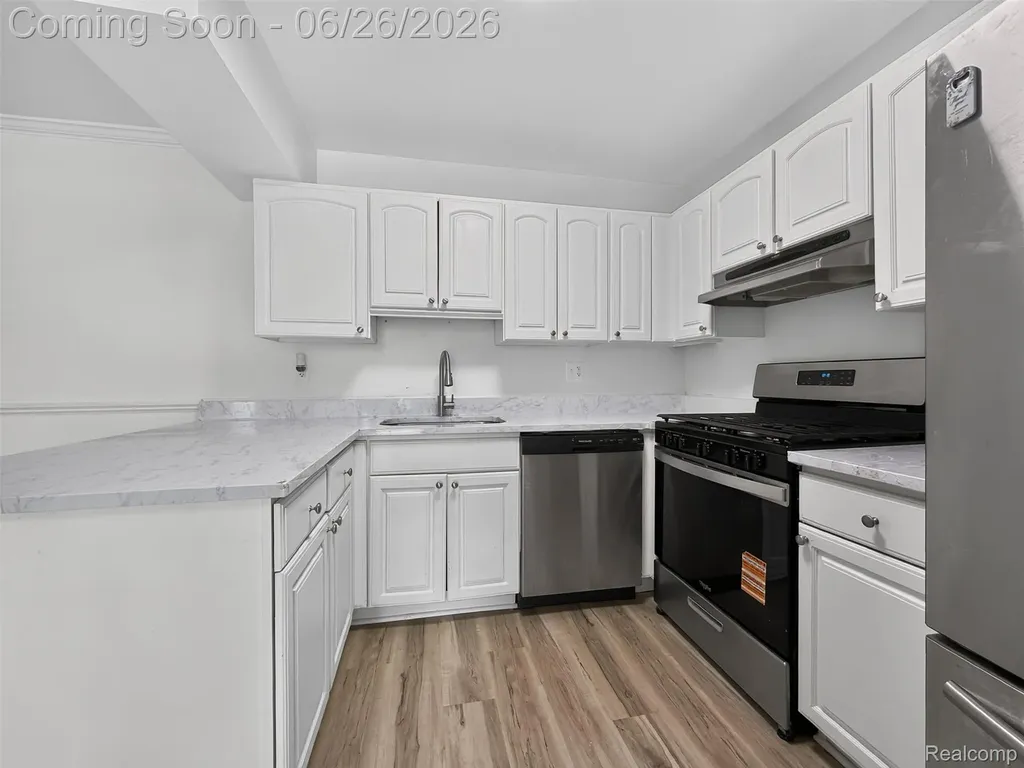 39613 Village Wood Lane Novi City MI 48375