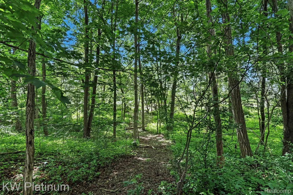 5918 Jeddo Road Grant Township MI 48032