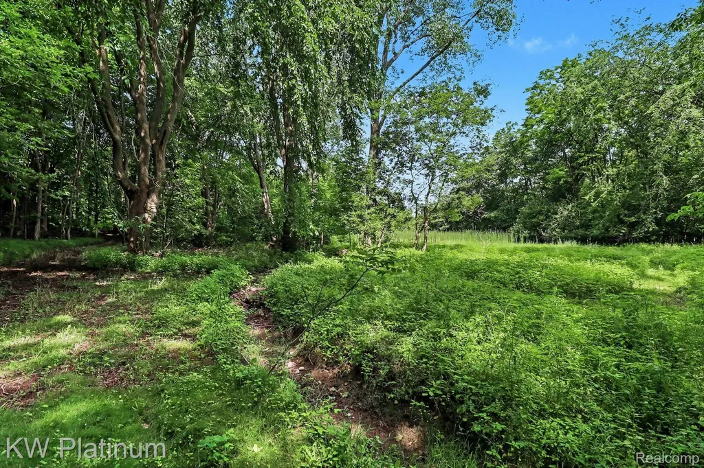 5918 Jeddo Road Grant Township MI 48032