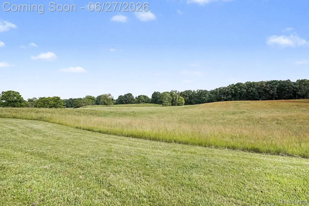 8751 Bath Road Burns Township MI 48418
