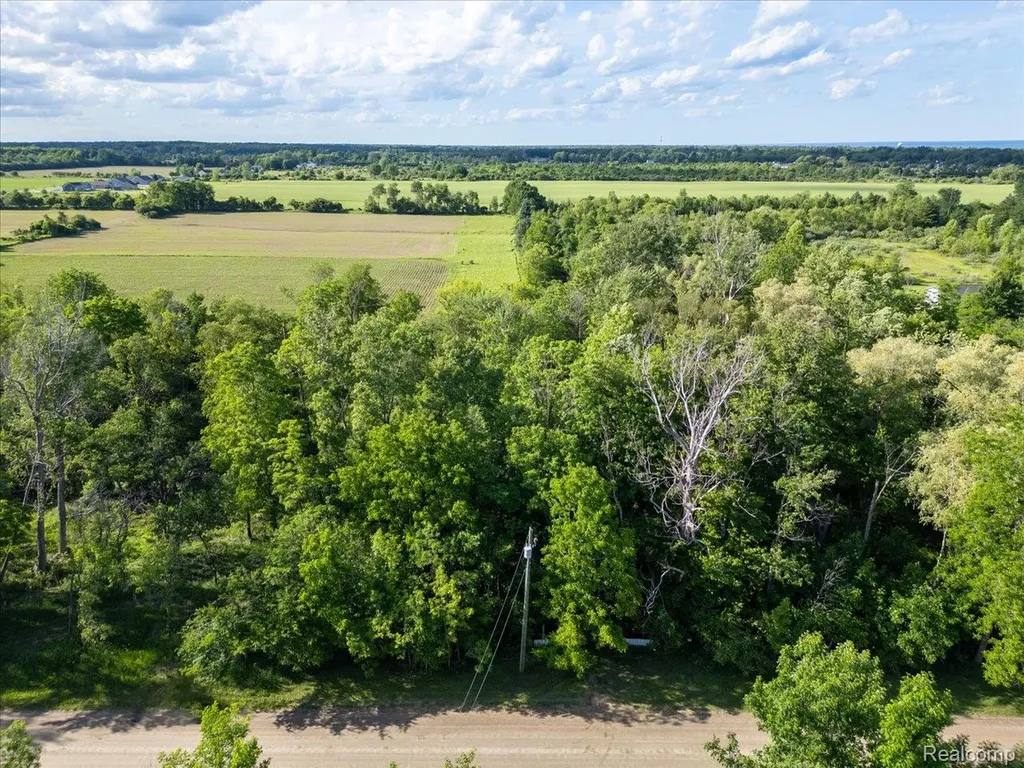6867 Sheridan Line Road Lexington Township MI 48450