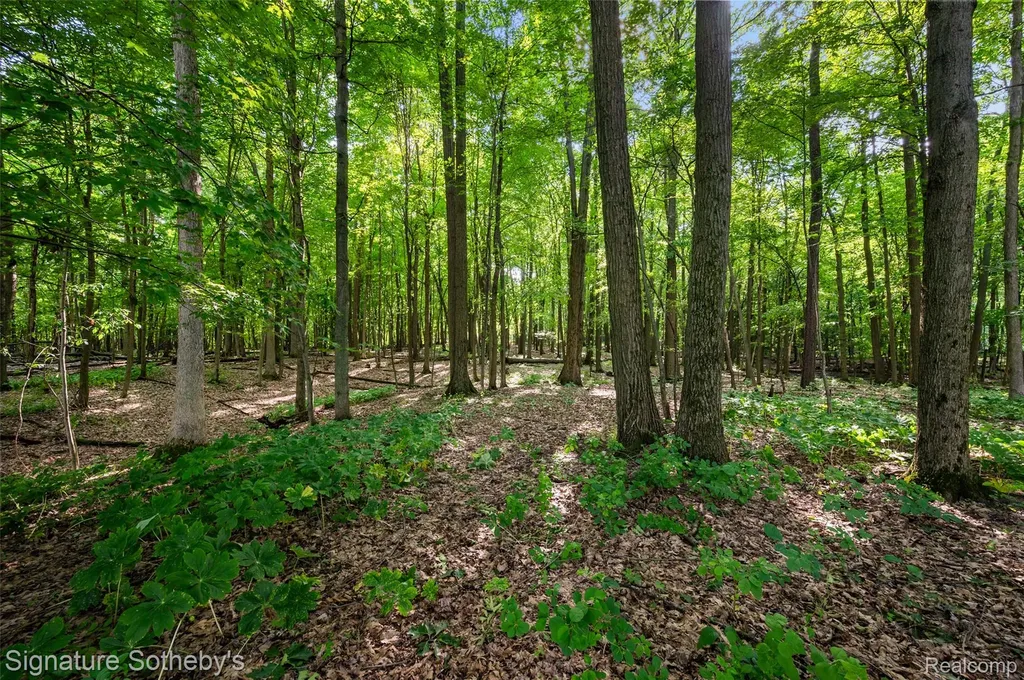 3915 Mcginnis Road Groveland Township MI 48442