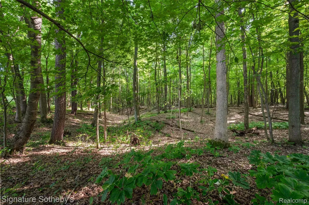 3915 Mcginnis Road Groveland Township MI 48442